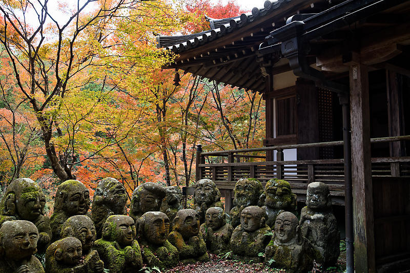 2018京都の紅葉・嵯峨野　愛宕念仏寺_f0032011_16222500.jpg