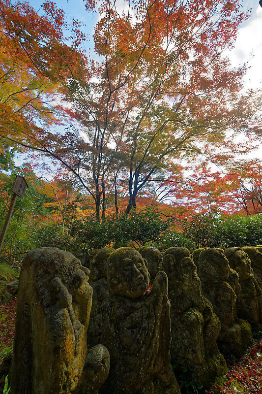 2018京都の紅葉・嵯峨野　愛宕念仏寺_f0032011_16255931.jpg