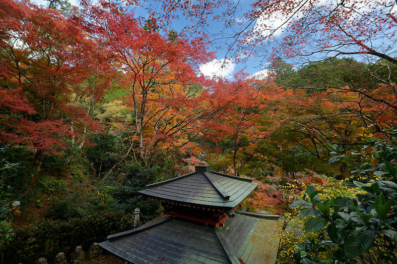 2018京都の紅葉・嵯峨野　愛宕念仏寺_f0032011_16260083.jpg