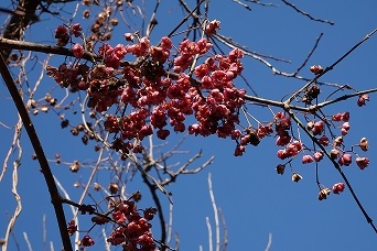 f0360815_14120114.jpg
