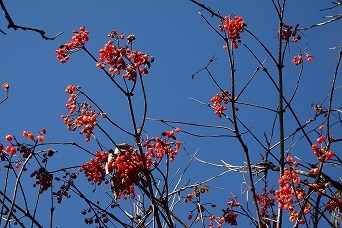f0360815_14120122.jpg