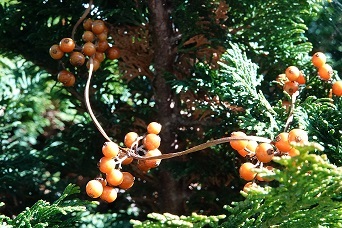 f0360815_14120124.jpg
