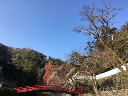 a0174419_16380856.jpeg