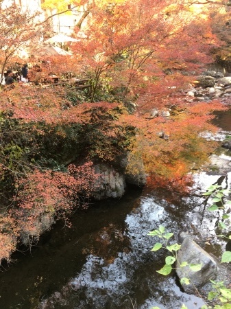 a0174419_16393367.jpeg