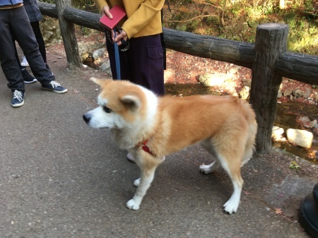a0174419_16403953.jpeg