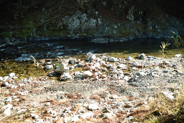 c0044819_10482226.jpg
