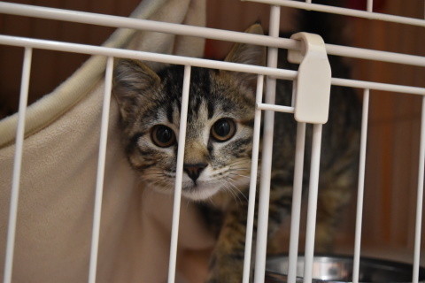 f0078320_20153631.jpg