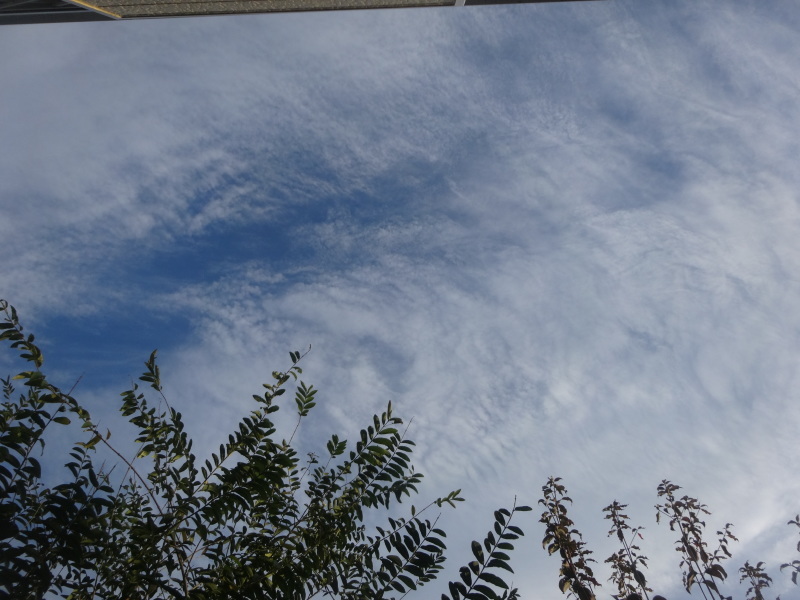 c0157824_22413842.jpg