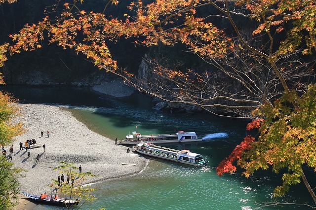 瀞峡への旅(その3)(撮影:11月18日)_e0321325_19413843.jpg