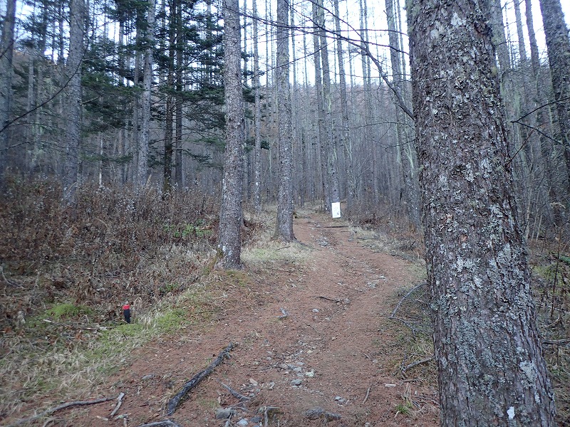 e0284726_11304879.jpg