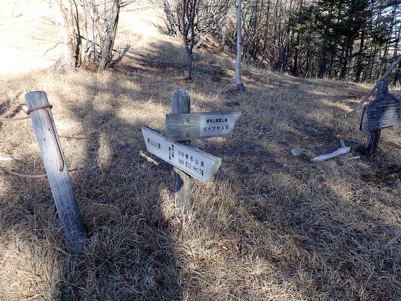 e0284726_1202962.jpg