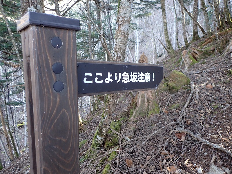 e0284726_1226570.jpg