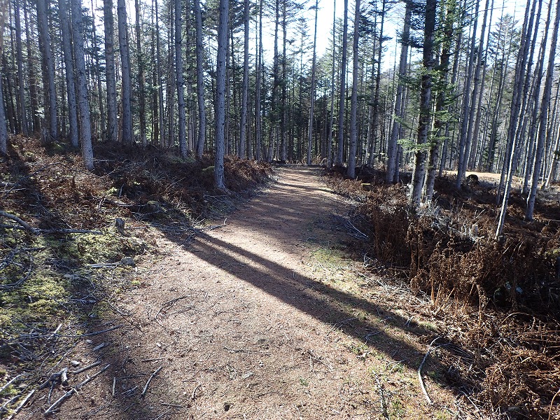 e0284726_12285570.jpg