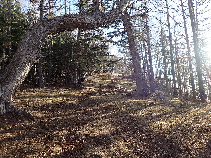 e0284726_1234219.jpg
