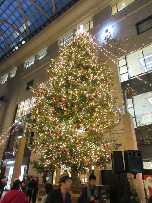b0014732_08071663.jpg