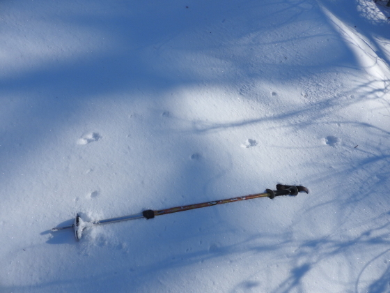 f0118332_23444333.jpg