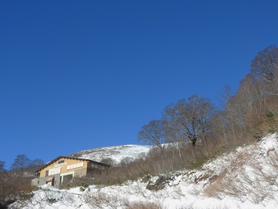f0118332_23452261.jpg