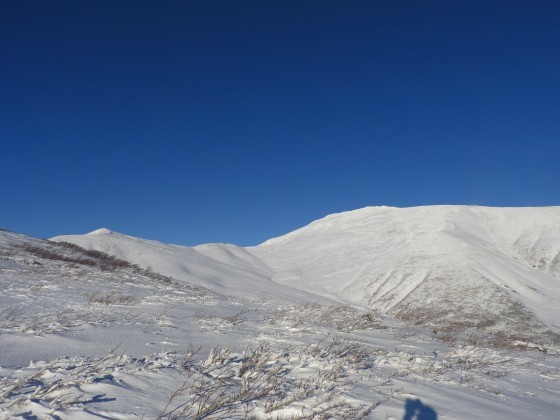 f0118332_23470123.jpg