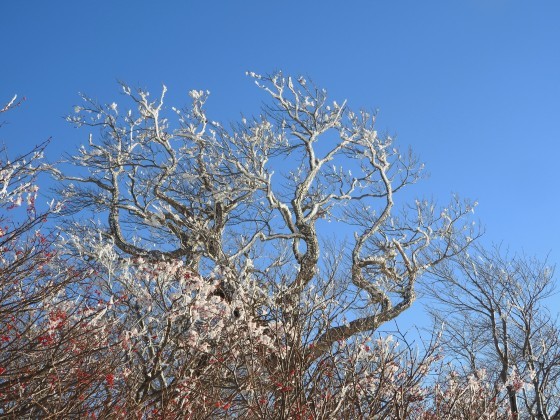 f0118332_23492475.jpg