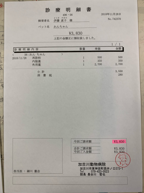 れんちゃん医療費収支報告_d0355333_18214550.jpg