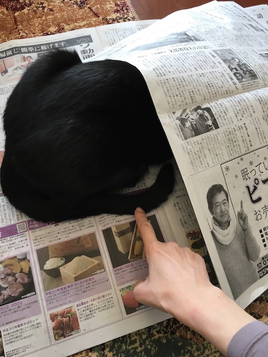 新聞読むのをじゃましないで_e0359436_11012903.jpg