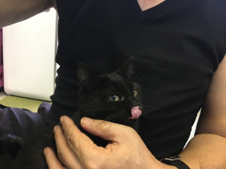 黒猫の日_b0060239_14102685.jpeg