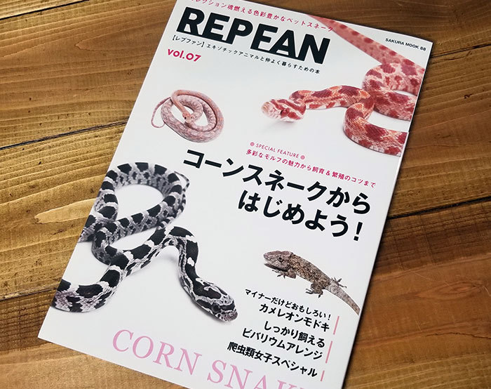 レイアウトの作り方を雑誌でご紹介 Zero Plants Blog