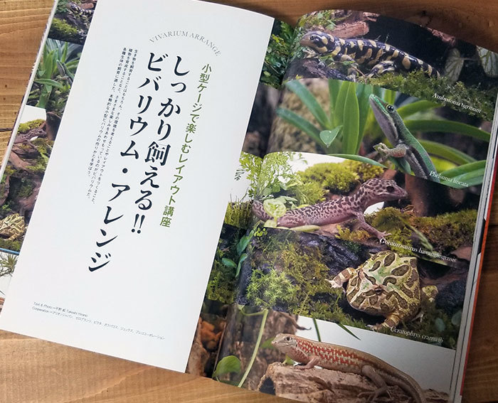 レイアウトの作り方を雑誌でご紹介~!_d0376039_20564901.jpg