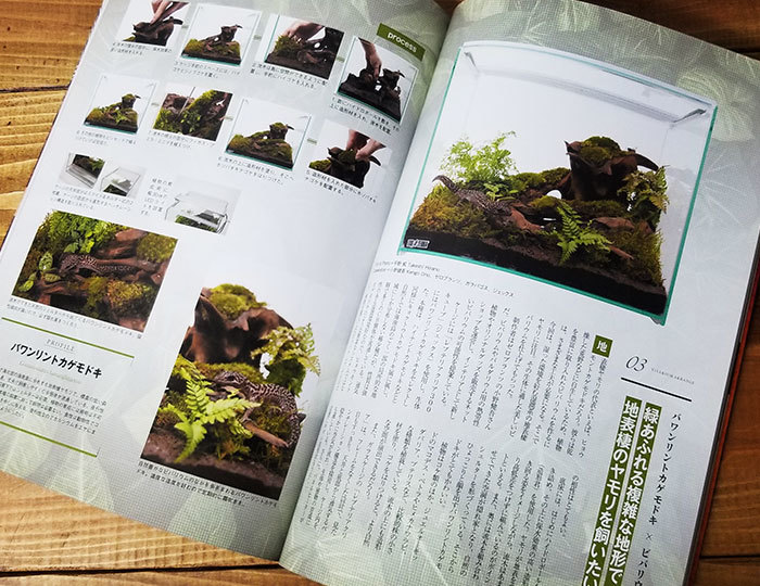レイアウトの作り方を雑誌でご紹介~!_d0376039_21003481.jpg