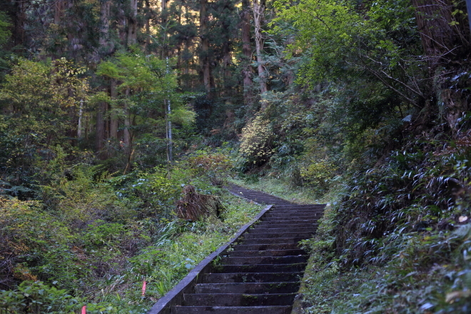 e0227942_22254828.jpg