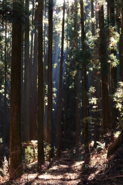 e0227942_22504545.jpg