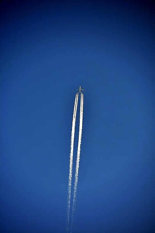 b0314043_08145157.jpg