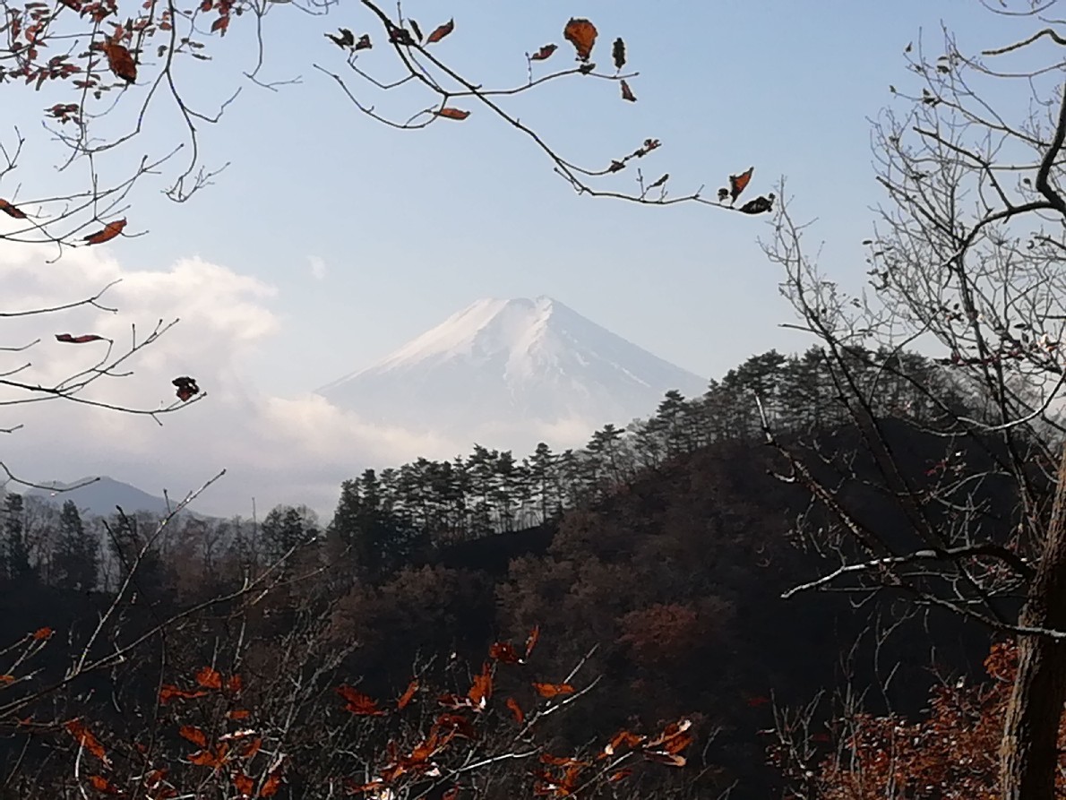 12/2　高川山からむすび山（ふもと近くの紅葉を期待して）_d0288144_15295805.jpg