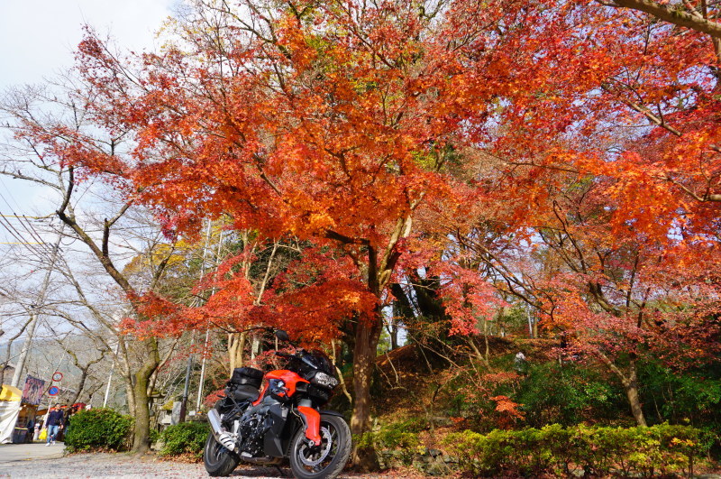 福岡の紅葉 秋月城址ほか 快走ライダー 週末 Ride On 福岡の紅葉 秋月城址ほか 快走ライダー 週末 Ride On
