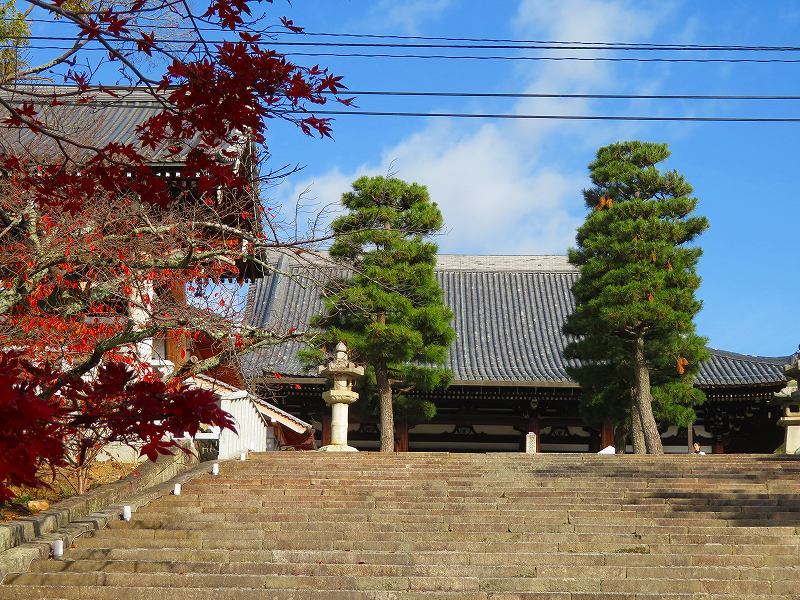 くろ谷「金戒光明寺」の紅葉20181129_e0237645_16295532.jpg