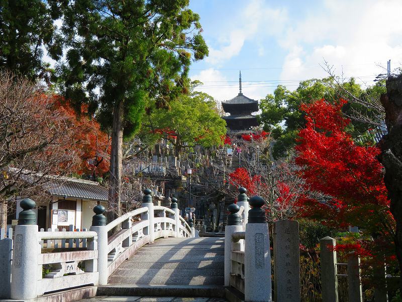 くろ谷「金戒光明寺」の紅葉20181129_e0237645_16310226.jpg