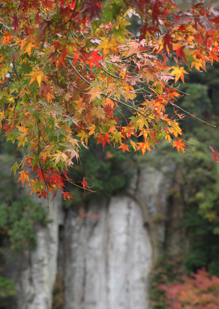 宇陀市　大野寺　磨崖仏　紅葉　アップ_c0108146_22210703.jpg