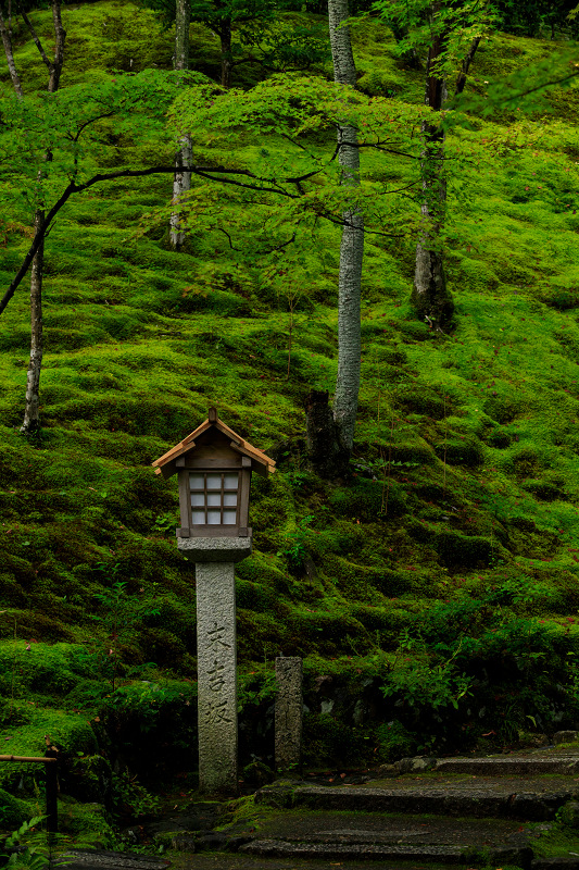 秋の花咲く常寂光寺_f0155048_02742.jpg