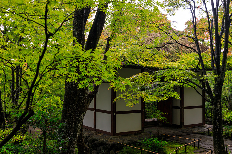 秋の花咲く常寂光寺_f0155048_23595798.jpg