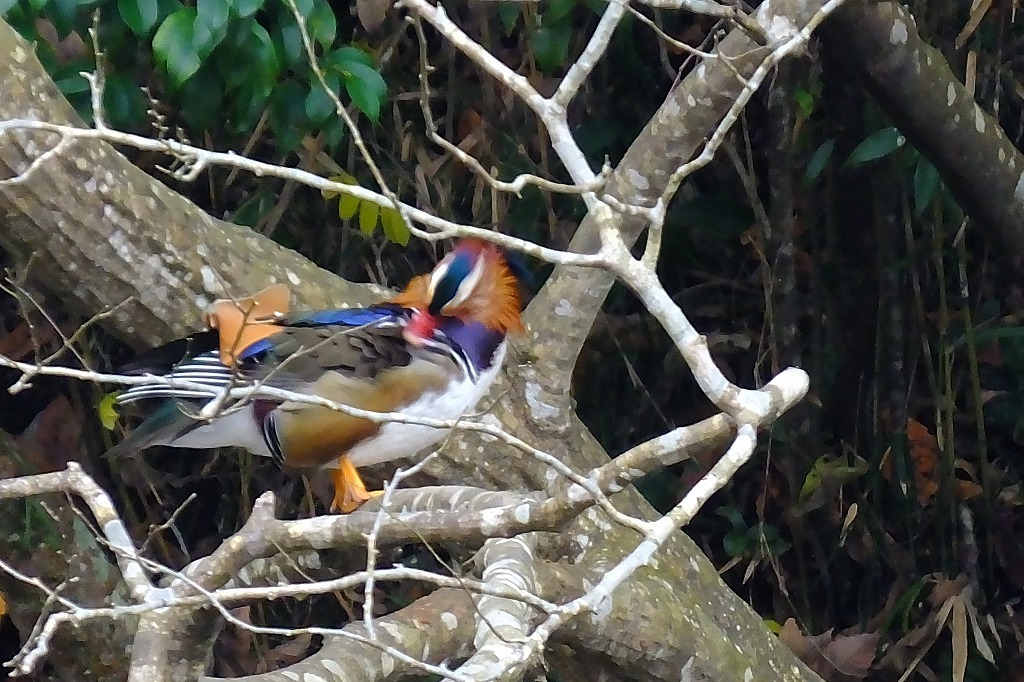 b0236251_10305004.jpg