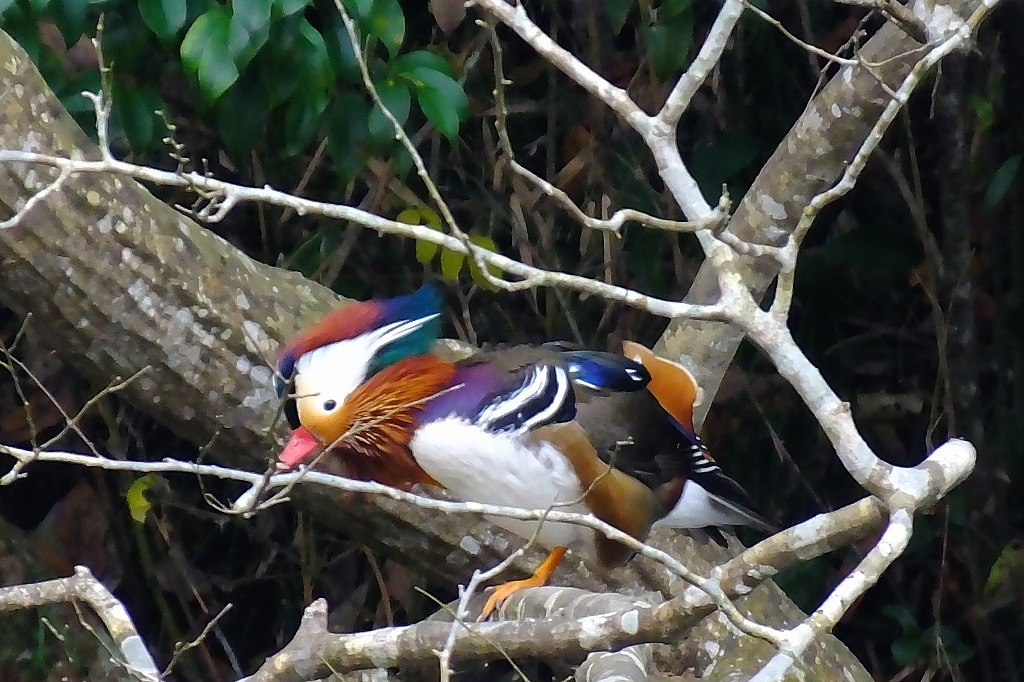 b0236251_10310454.jpg