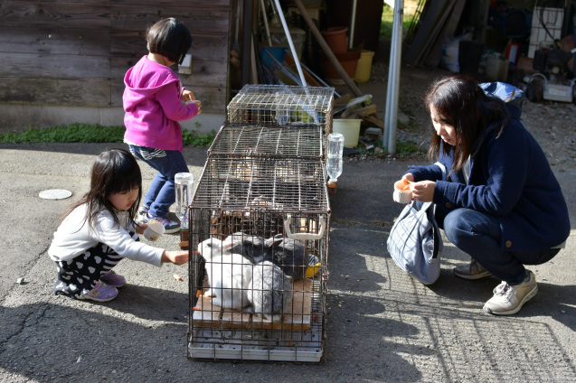 ポカポカの12月　12/02_b0214652_16050786.jpg