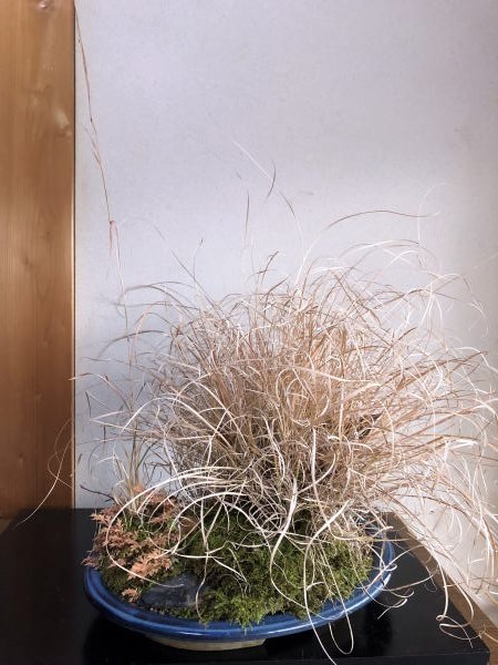 c0147952_20270513.jpg