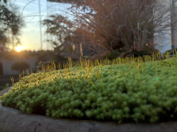 c0147952_20311759.jpg