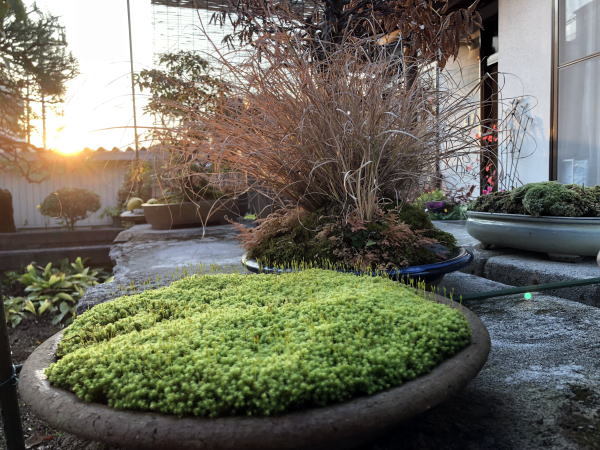c0147952_20315560.jpg
