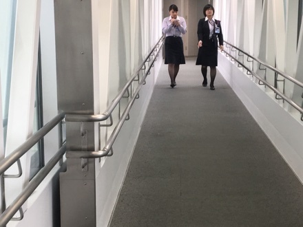 a0346455_10314348.jpeg