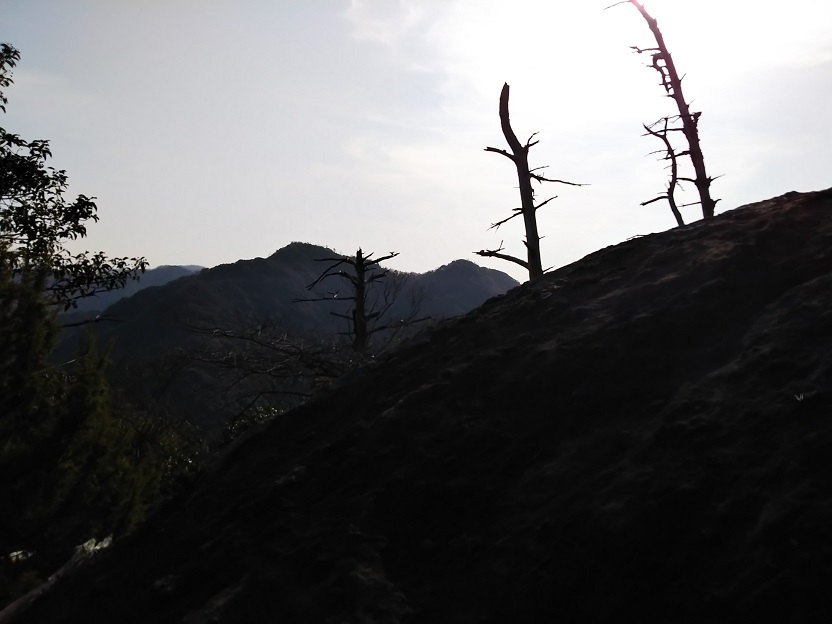 d0007657_17432946.jpg