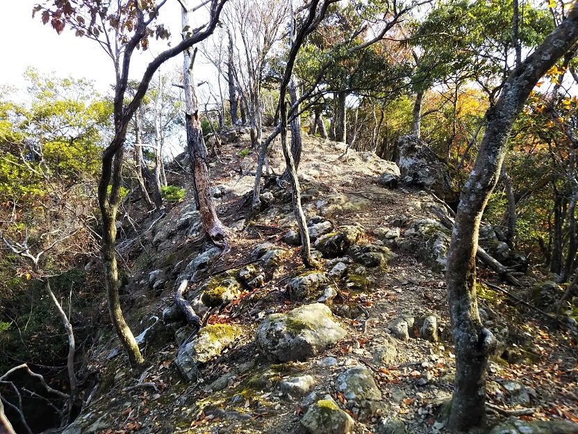 d0007657_17451108.jpg
