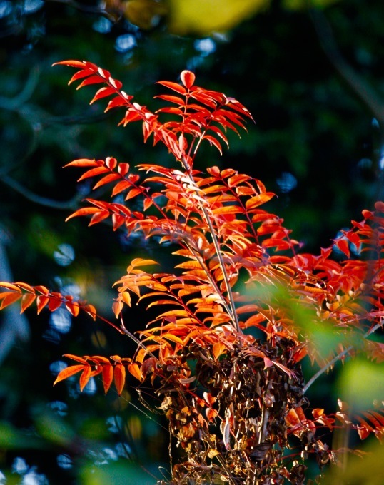 a0248459_17361698.jpg