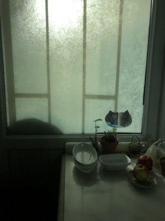 d0183861_03134782.jpeg